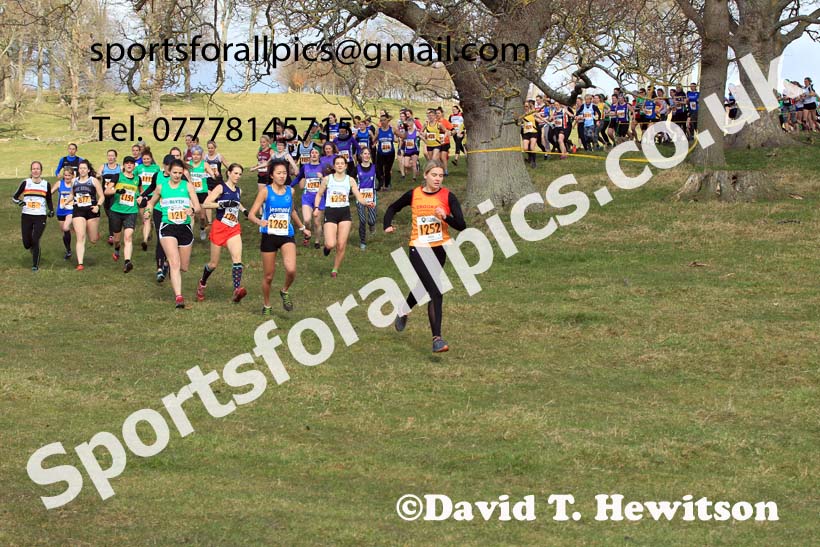 Senior womens 2022 Start Fitness NEHL, Alnwick, Northumberland. Photo: David T. Hewitson/Sports for All Pics